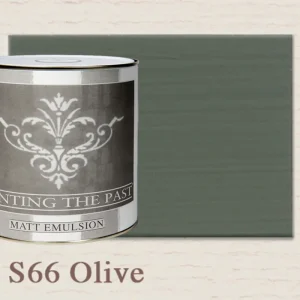 Painting The Past Matt Emulsion Olive S66 Seizoensaanbieding
